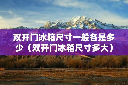 双开门冰箱尺寸一般各是多少(双开门冰箱尺寸多大)