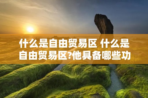 什么是自由贸易区 什么是自由贸易区?他具备哪些功能 什么是自由贸易区 什么是自由贸易区?他具备哪些功能