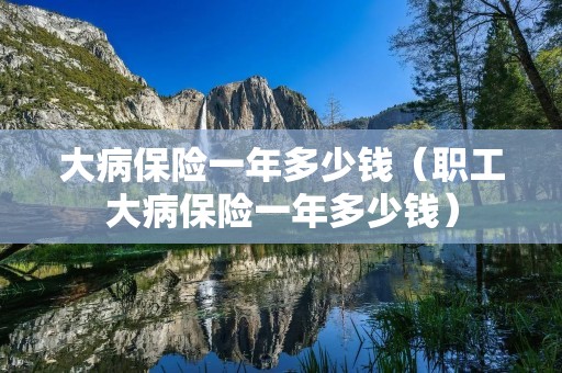 大病保险一年多少钱(职工大病保险一年多少钱) 大病保险一年多少钱(职工大病保险一年多少钱)