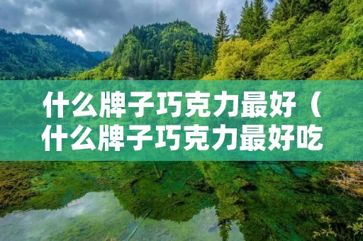 什么牌子巧克力最好(什么牌子巧克力最好吃不胖) 什么牌子巧克力最好(什么牌子巧克力最好吃不胖)