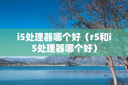 i5处理器哪个好（r5和i5处理器哪个好）