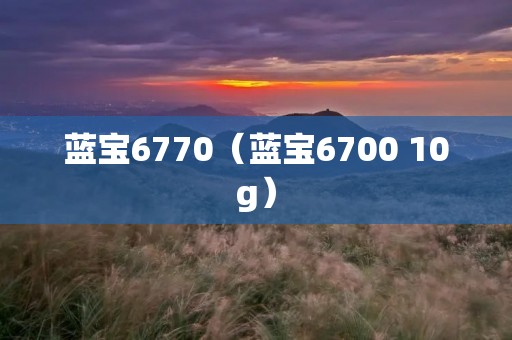 蓝宝6770(蓝宝6700 10g) 蓝宝6770(蓝宝6700 10g)