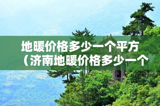 地暖价格多少一个平方（济南地暖价格多少一个平方）