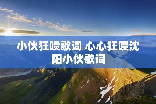 小伙狂喷歌词 心心狂喷沈阳小伙歌词