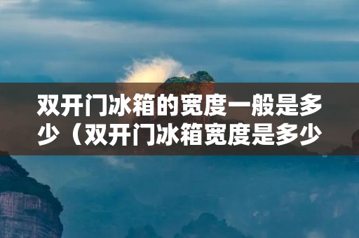 双开门冰箱的宽度一般是多少(双开门冰箱宽度是多少?)