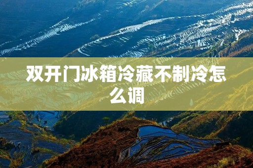 双开门冰箱冷藏不制冷怎么调