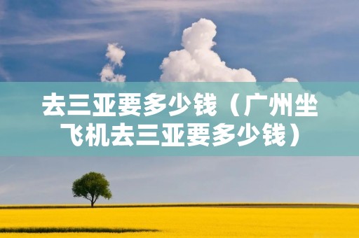 去三亚要多少钱(广州坐飞机去三亚要多少钱) 去三亚要多少钱(广州坐飞机去三亚要多少钱)
