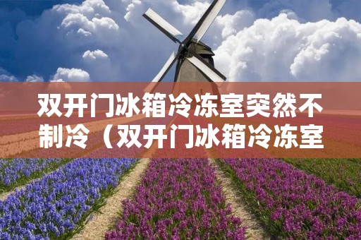 双开门冰箱冷冻室突然不制冷（双开门冰箱冷冻室突然不制冷怎么维修）
