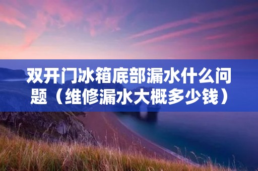 **门冰箱底部漏水什么问题(维修漏水大概多少钱) **门冰箱底部漏水什么问题(维修漏水大概多少钱)