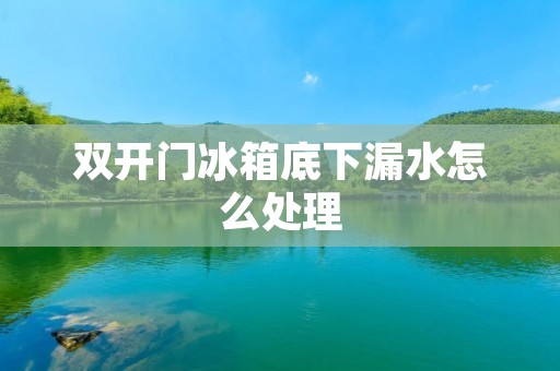 **门冰箱底下漏水怎么处理