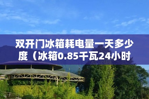 双开门冰箱耗电量一天多少度（冰箱0.85千瓦24小时是多少电）