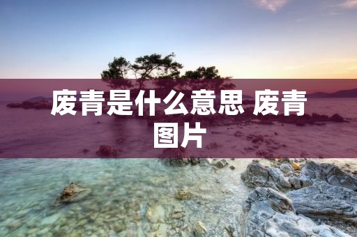 废青是什么意思 废青图片 废青是什么意思 废青图片