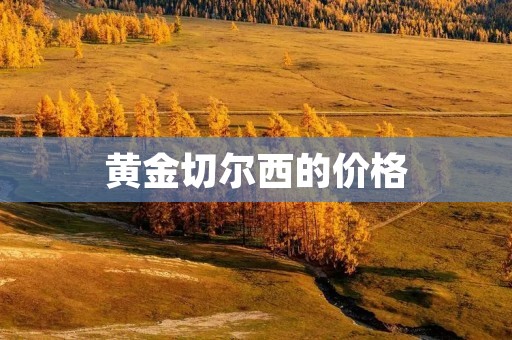 黄金切尔西的价格：探索奢华与独特的价值