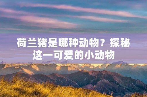荷兰猪是哪种动物?探秘这一可爱的小动物 荷兰猪是哪种动物?探秘这一可爱的小动物
