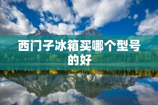 西门子冰箱买哪个型号的好 西门子冰箱买哪个型号的好