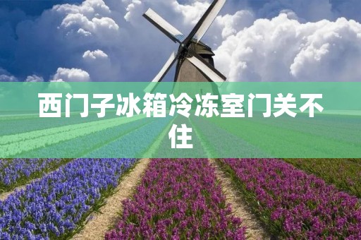 西门子冰箱冷冻室门关不住：解决方法与维修建议