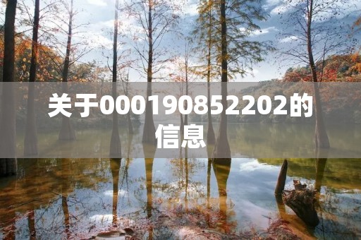 关于000190852202的信息