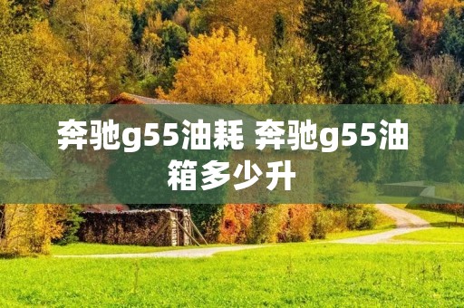 奔驰g55油耗 奔驰g55油箱多少升 奔驰g55油耗 奔驰g55油箱多少升
