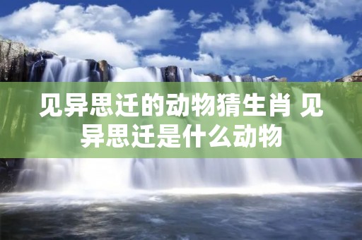 见异思迁的动物猜生肖 见异思迁是什么动物