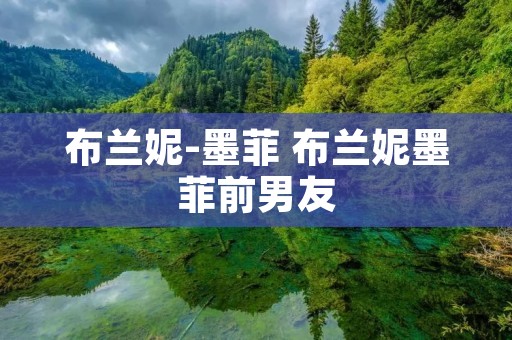 布兰妮-墨菲 布兰妮墨菲前男友
