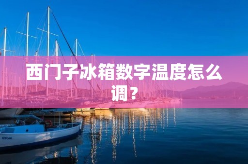 西门子冰箱数字温度怎么调? 西门子冰箱数字温度怎么调?