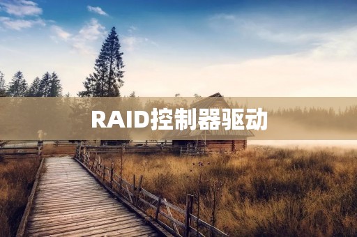 RAID控制器驱动:提升数据存储与处理效率的关键 RAID控制器驱动:提升数据存储与处理效率的关键