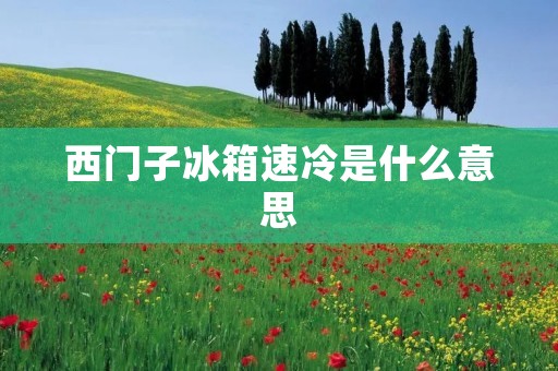 西门子冰箱速冷是什么意思:提供高效冷却和保鲜解决方案 西门子冰箱速冷是什么意思:提供高效冷却和保鲜解决方案