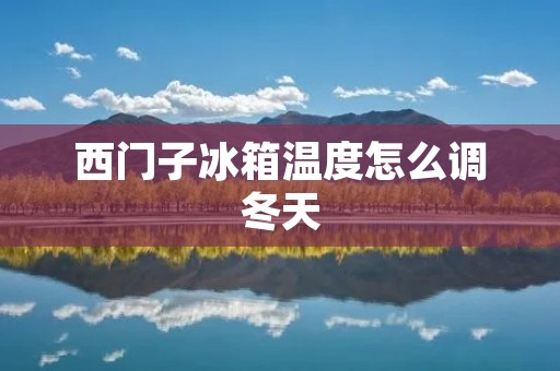 西门子冰箱温度怎么调冬天 西门子冰箱温度怎么调冬天