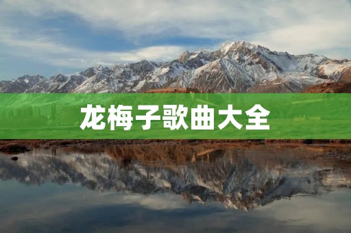 龙梅子歌曲大全:音乐世界中的瑰宝 龙梅子歌曲大全:音乐世界中的瑰宝