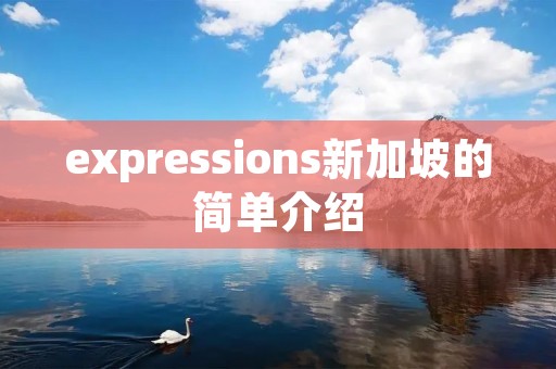 expressions新加坡的简单介绍