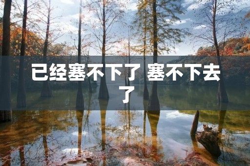 已经塞不下了 塞不下去了