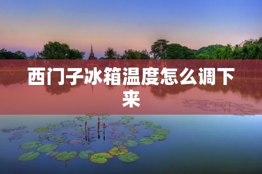 西门子冰箱温度怎么调下来