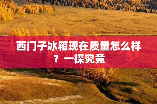 西门子冰箱现在质量怎么样?一探究竟 西门子冰箱现在质量怎么样?一探究竟