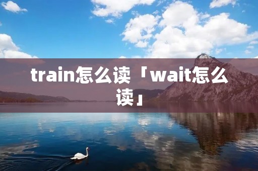 train怎么读「wait怎么读」