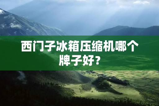 西门子冰箱压缩机哪个牌子好? 西门子冰箱压缩机哪个牌子好?