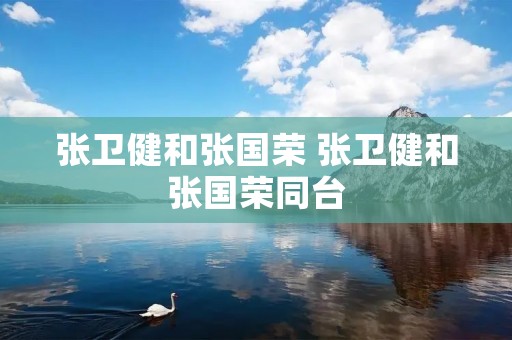 张卫健和张国荣 张卫健和张国荣同台