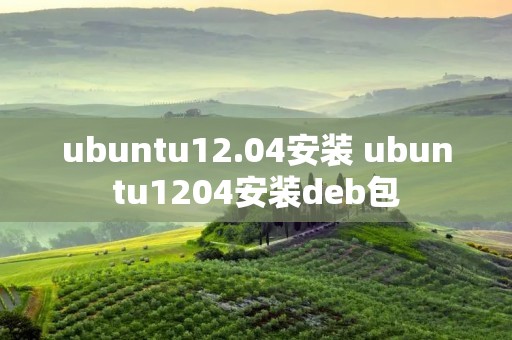 ubuntu12.04安装 ubuntu1204安装deb包 ubuntu12.04安装 ubuntu1204安装deb包