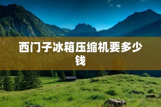 西门子冰箱压缩机要多少钱 西门子冰箱压缩机要多少钱