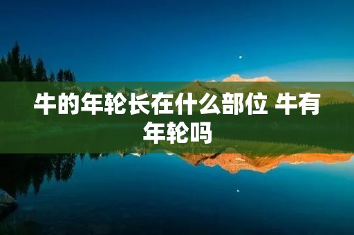 牛的年轮长在什么部位 牛有年轮吗 牛的年轮长在什么部位 牛有年轮吗