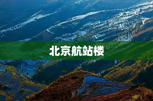 北京航站楼:一个现代化航空枢纽的典范 北京航站楼:一个现代化航空枢纽的典范