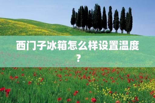 西门子冰箱怎么样设置温度? 西门子冰箱怎么样设置温度?