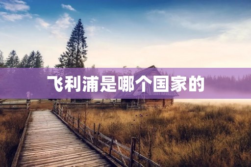 飞利浦是哪个国家的
