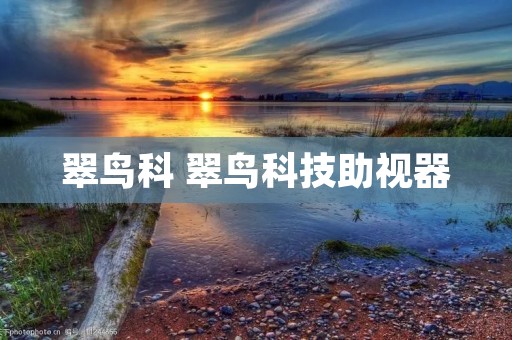 翠鸟科 翠鸟科技助视器