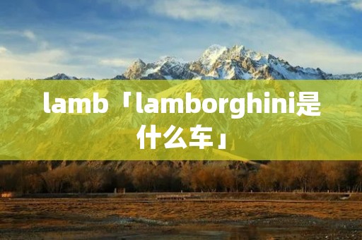 lamb「lamborghini是什么车」