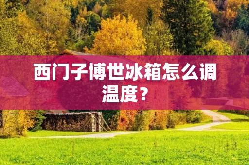 西门子博世冰箱怎么调温度？
