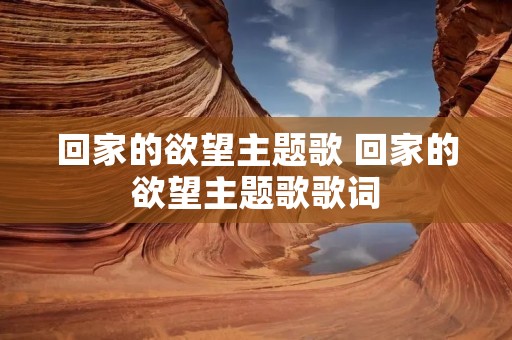 回家的欲望主题歌 回家的欲望主题歌歌词