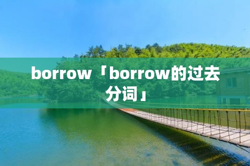 borrow「borrow的过去分词」