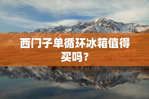 西门子单循环冰箱值得买吗? 西门子单循环冰箱值得买吗?