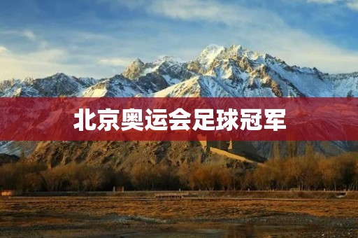 北京奥运会足球冠军:巴西队的辉煌时刻 北京奥运会足球冠军:巴西队的辉煌时刻