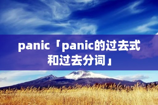 panic「panic的过去式和过去分词」